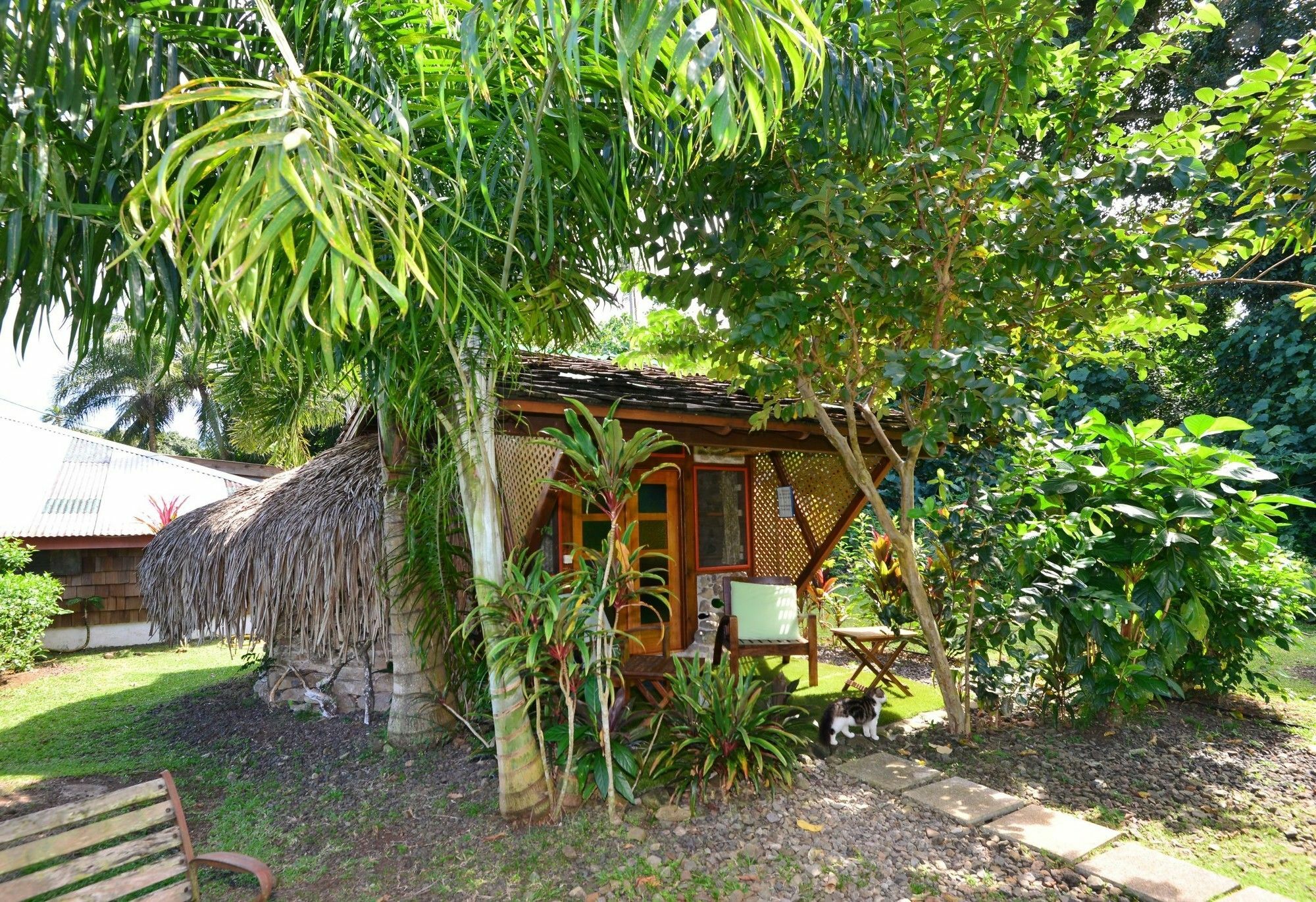 Mark'S Place Moorea Exterior foto